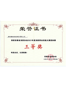 安徽省消防協(xié)會2021年度消防職業(yè)技能大賽團(tuán)體賽三等獎
